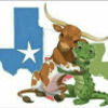 texlizard
